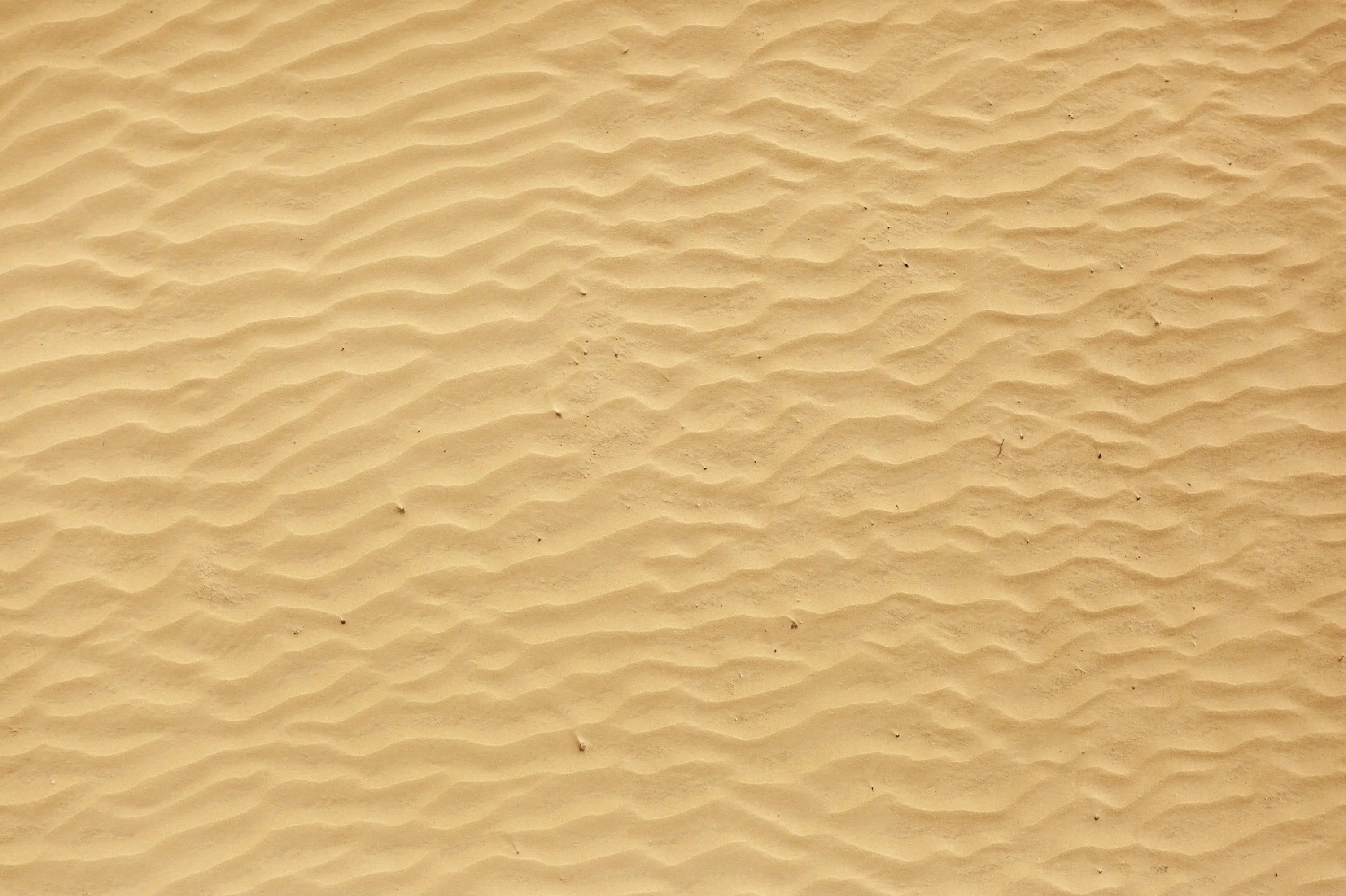 texture sand